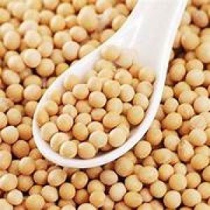 Poroto Soja X 500 Gr