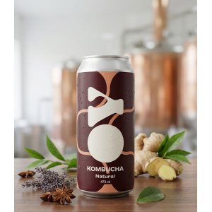 Kombucha Natural X 473 Ml - Oy