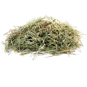 100 Grs - Alfalfa