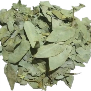 100 Grs - Eucaliptus