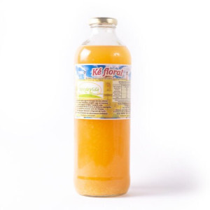 Kefir X 910 Ml - Verde Vida
