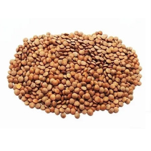250 Grs - Lentejon