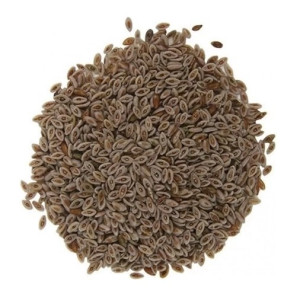 100 Grs - Psyllium (zaragatona)