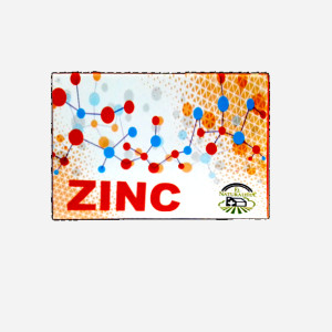 Zinc X 30 Comprimidos - El Naturalista
